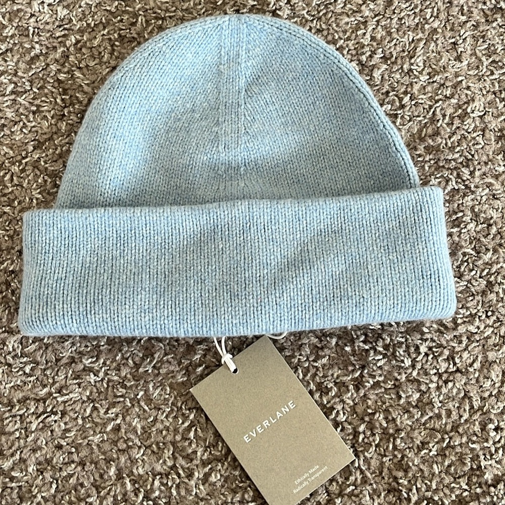 NWT Everlane wool knit hat